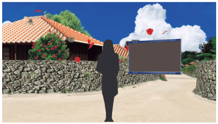 C-29. Taketomi Island, Okinawa